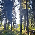 Zarembianka 木屋 Gniewoszow (Lower Silesia)