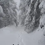 木屋 Zarembianka Gniewoszow (Lower Silesia)