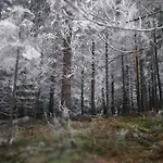 Zarembianka * Gniewoszow (Lower Silesia)