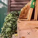 Zarembianka 木屋 *