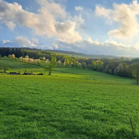 Zarembianka Chalet Miedzylesie (Silesia)