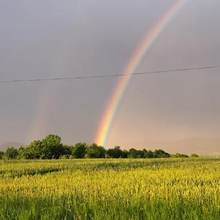Alpehytte Zarembianka *