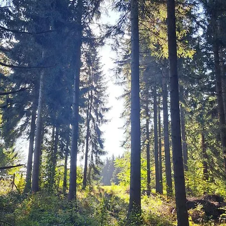 Zarembianka Σαλέ Gniewoszow (Lower Silesia)