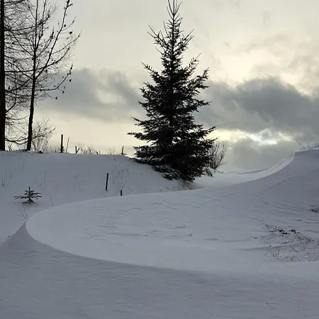 Zarembianka Międzylesie