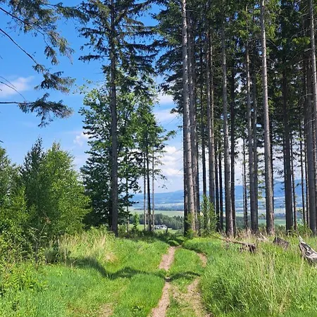 Zarembianka * Gniewoszow (Lower Silesia)