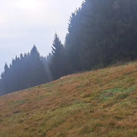 Zarembianka Alpstuga Międzylesie