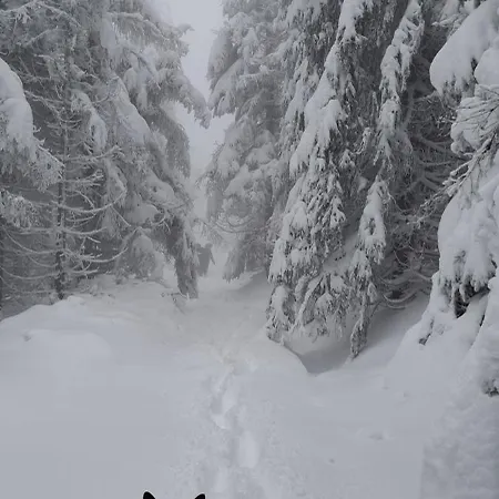 Alpehytte Zarembianka Gniewoszow (Lower Silesia)
