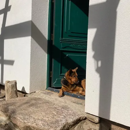 Alpstuga Zarembianka