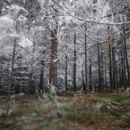 Zarembianka * Gniewoszow (Lower Silesia)