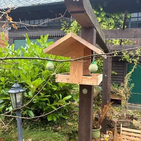 Zarembianka * Gniewoszow (Lower Silesia)