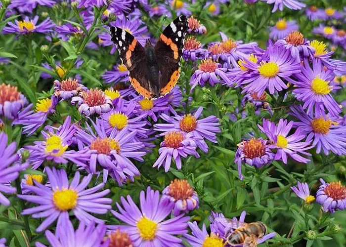 Zarembianka Chalet Gniewoszow (Lower Silesia)
