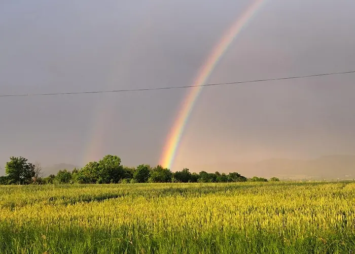 Chalet Zarembianka *