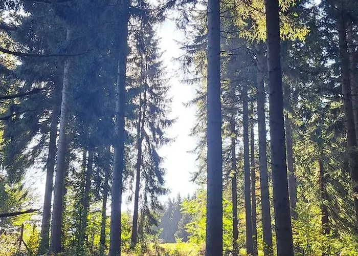 Zarembianka Chalet Gniewoszow (Lower Silesia)