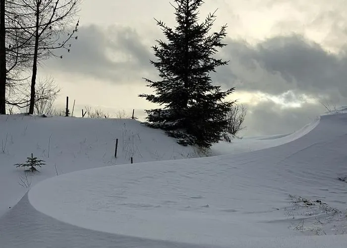 Zarembianka Gniewoszow (Lower Silesia)