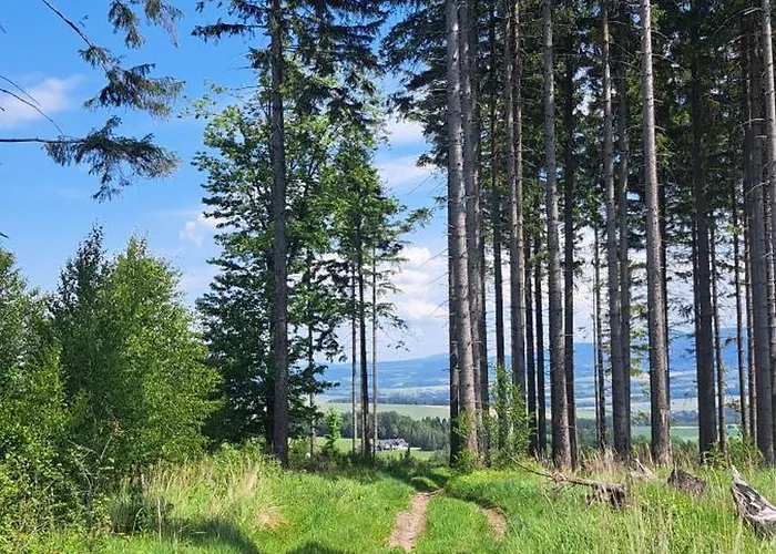 Zarembianka * Gniewoszow (Lower Silesia)