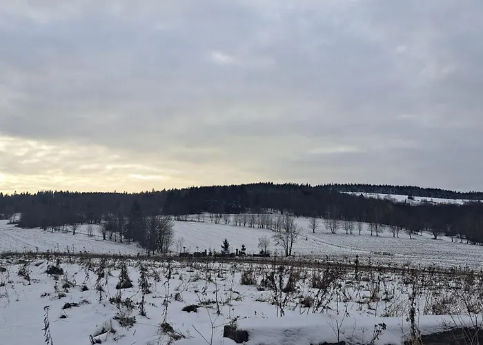 Chalet Zarembianka *