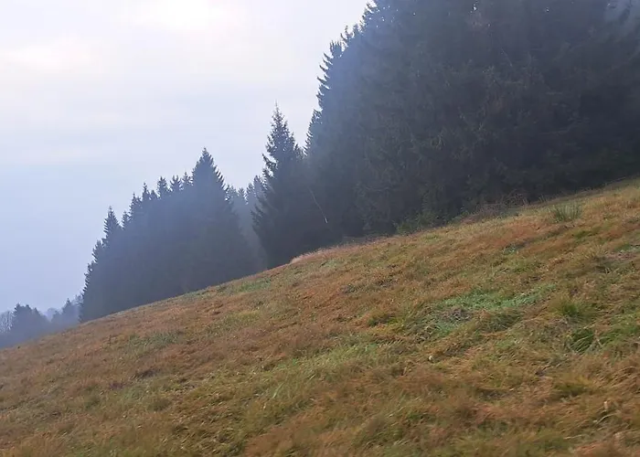 Zarembianka Chalet Gniewoszow (Lower Silesia)