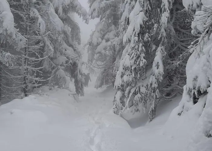 Chalet Zarembianka Gniewoszow (Lower Silesia)