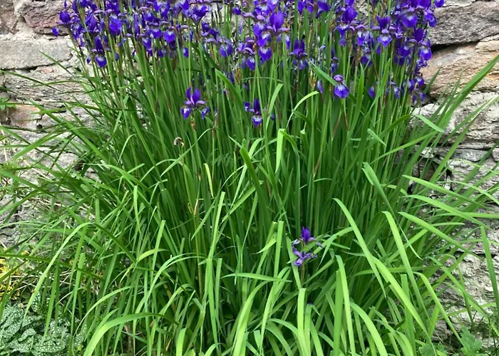 Zarembianka Chalet Gniewoszow (Lower Silesia)