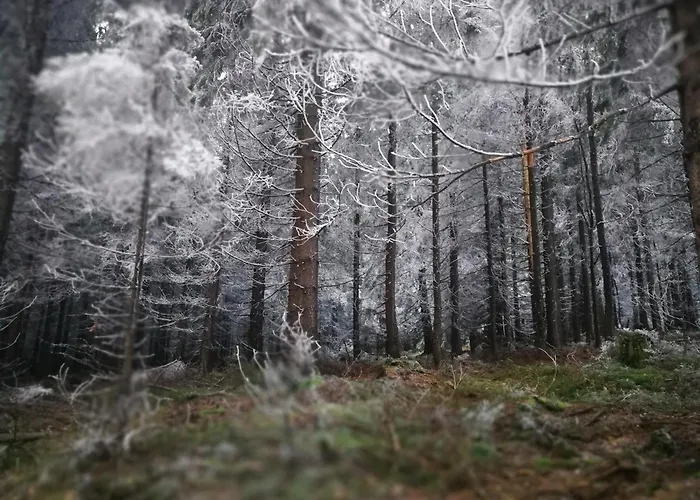 Zarembianka * Gniewoszow (Lower Silesia)