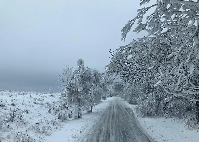 Zarembianka Chalet *
