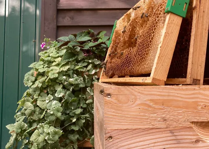 Zarembianka Chalet *